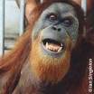 mstafae_mourad